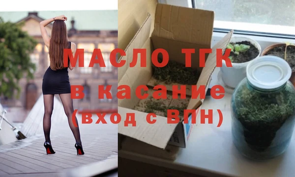 индика Богородск