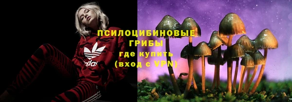 индика Богородск