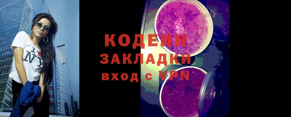 индика Богородск