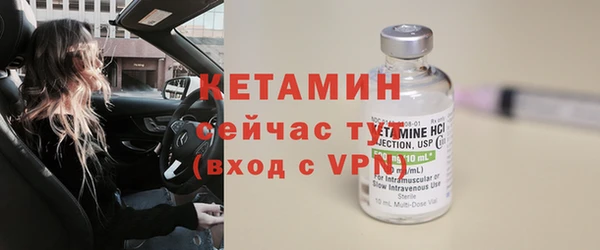 индика Богородск