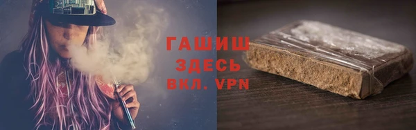 индика Богородск