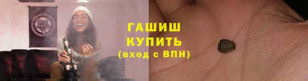 индика Богородск