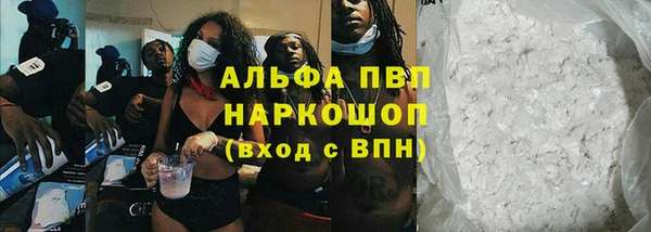 индика Богородск